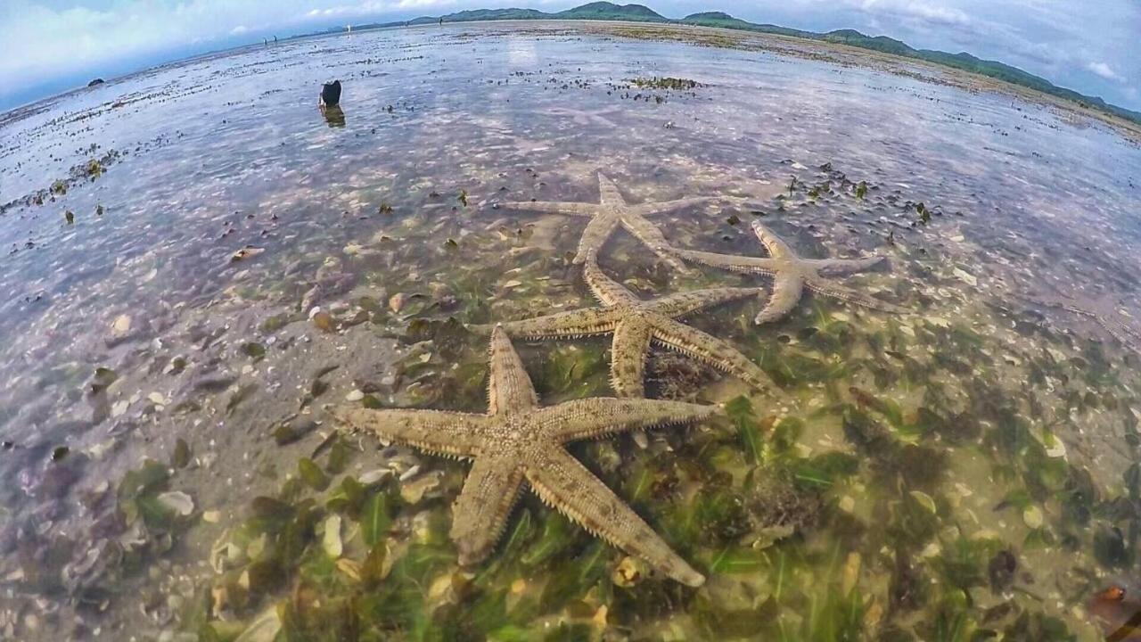 Bankruchaem Homestay Kohpu Ko Pu Exteriér fotografie