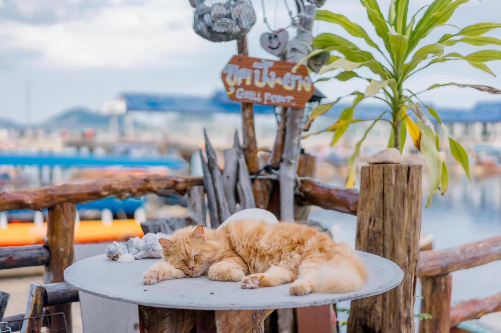 Bankruchaem Homestay Kohpu Ko Pu Exteriér fotografie